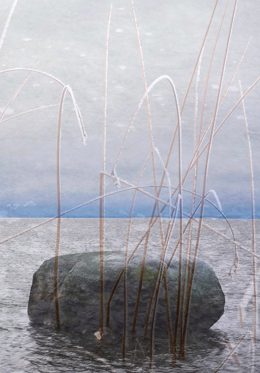 Annika Eriksdotter - Infruset