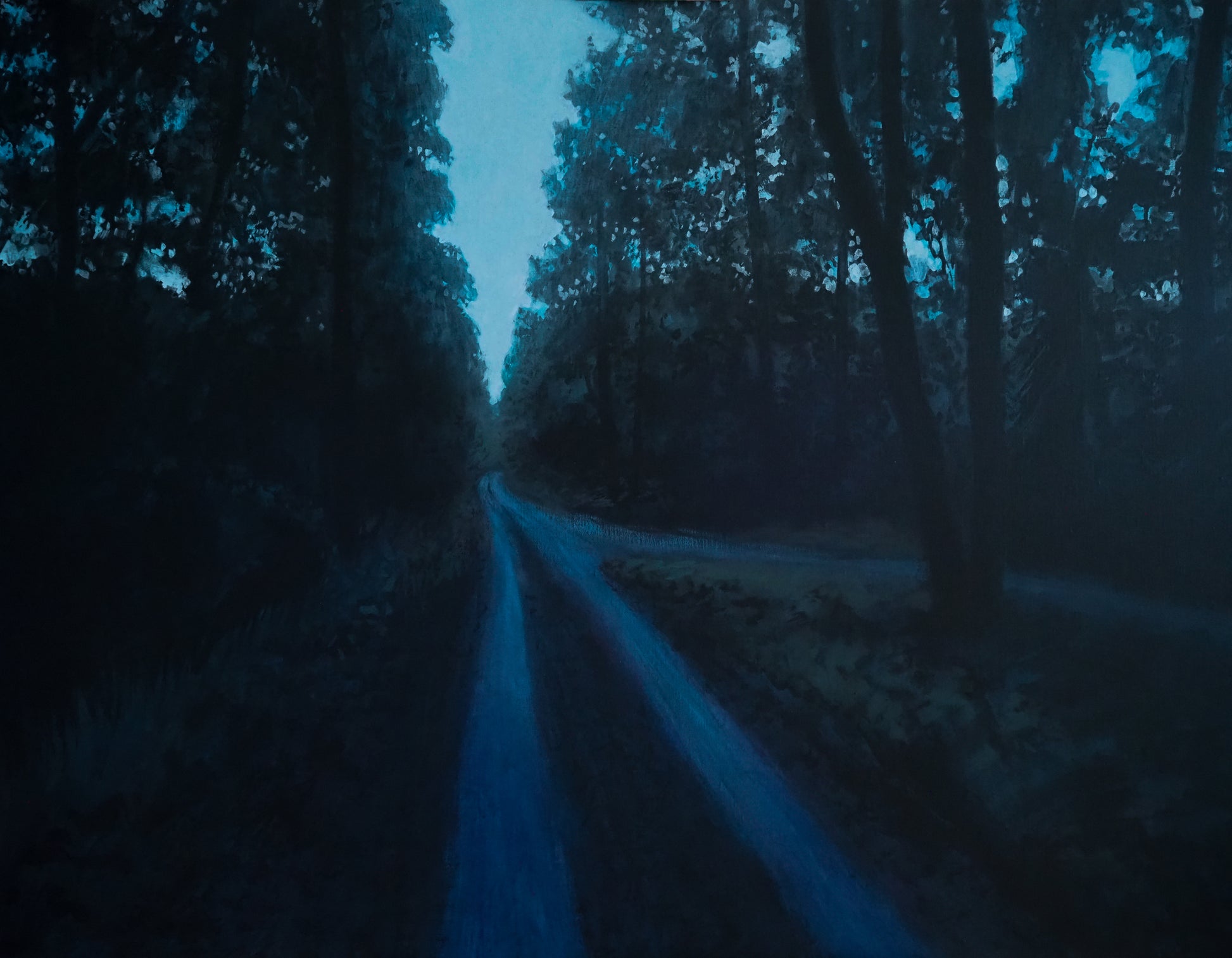 Tor Cederman - Nattvandring